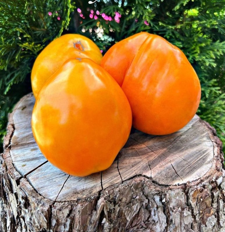 ����� ������ 100 ��� ������ ����������� ��������� ����� � ��� �����������