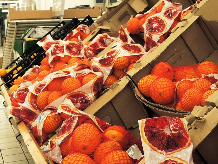 ���� �� ��������� � ���������: ���������� ������� ���������� ���������