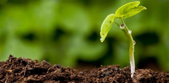 ��� ���������� ���� ����� � ��������� ��������: ������� � ������