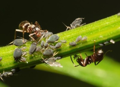 ����������� ������ ������ � ��������� �� ����� �������