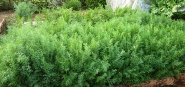 ������� ������ � �������� ������