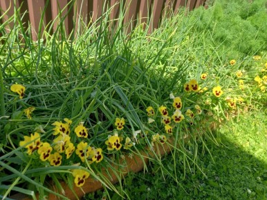 ��� ���������� ������ �� ����: ������ �� ��������� ������ � ����