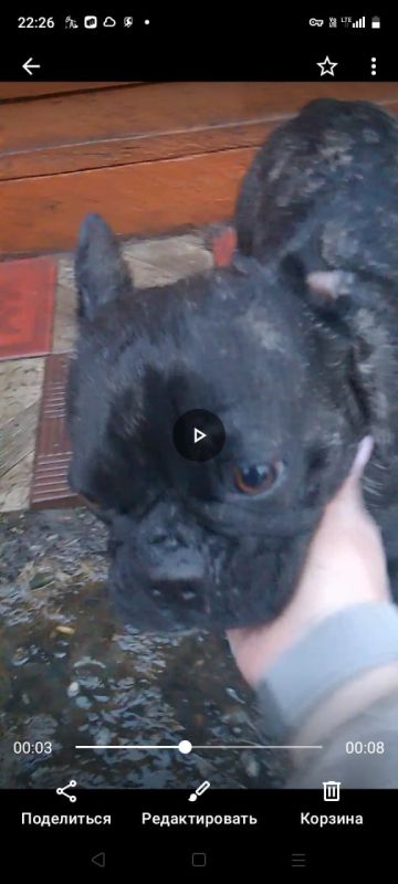 �� ������� ������� �������