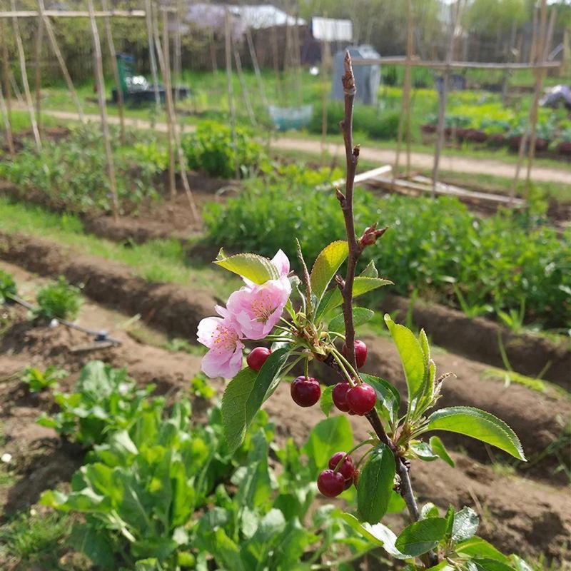 ��� ������� ����� ��������� �����: �������� ������ ��� ���������