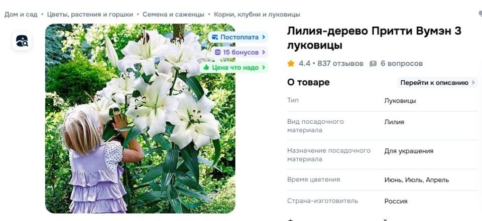 �������� ������: ��� ��� ���������� � ���� �����������?