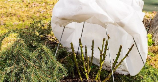 ����� ���� ������� ������� � ���: ������ ��� ��������� �����