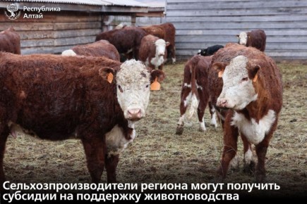 � ���������� ����� ������� ���� ������ �� �������� ��� ���������������������������