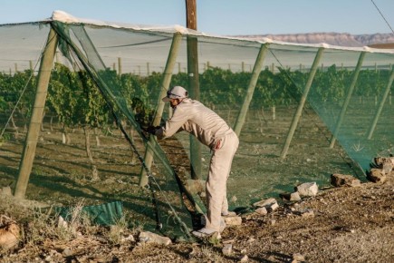 ��������� � ������� �����: ��� ������� ���� ������ ����������� �������