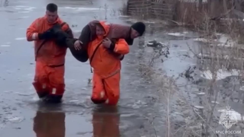 142 ����� ���� �������� � ��������� ���� ��-�� ���������