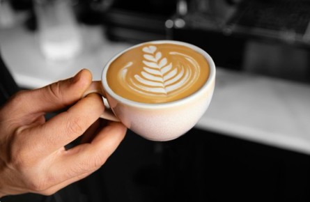 ���� ����� ������ � ������ � ������������ ����������