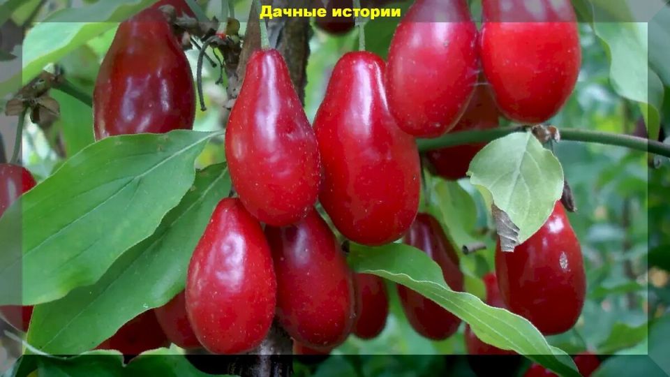 �����: ��� ��������� ���� ���������� � ����� ����