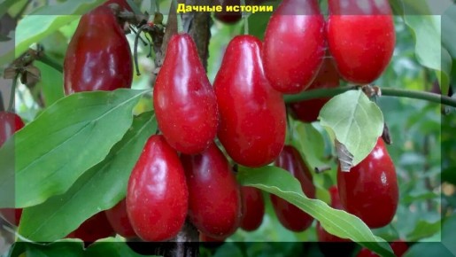 �����: ��� ��������� ���� ���������� � ����� ����