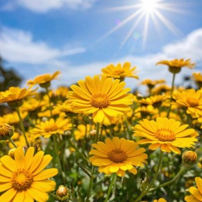 ���������: �� �������� ������ �� ������ �������� � ����� ����