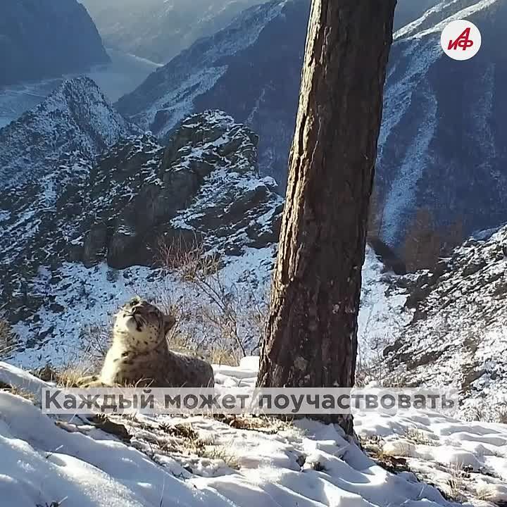 ���� � ��������� ������� ����� �� ������ �����