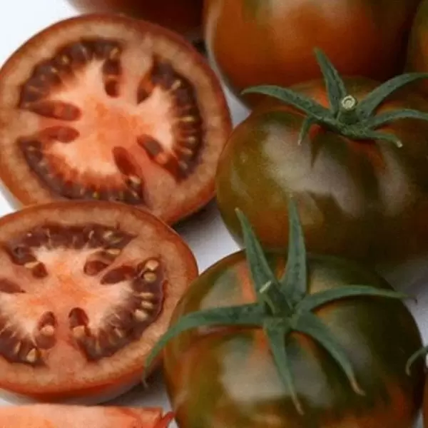 Томат черная маркиза: красота и вкус в каждой ягоде