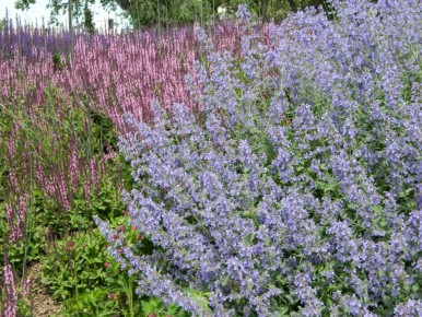 ��������: ����� ������ ��� ������ ��� ����?