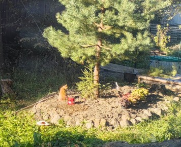 ��� ���������� �������� ��� ������ ������: ������ ��� ���������