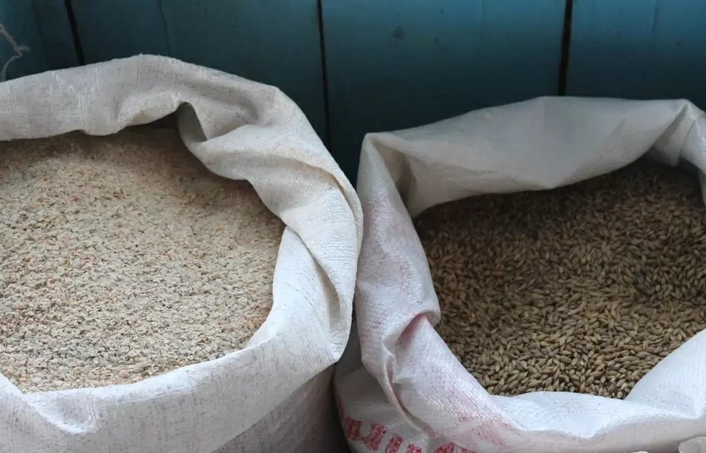 Как правильно подкармливать коз овсом и другими зерновыми ради больших удоев