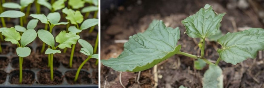 ��� ������ ������ �� ������: ������ ������ ��� ������ ������