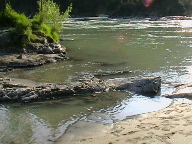 ������������ ��� ����������: 20 �� ����� �� ������ ������ �����������