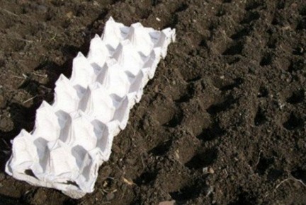 ����������� ����� ������� �������, ������� ������ ��������