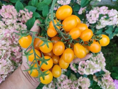 ����� ��������� ��: ����� � ������� ����� ��� ������ ����