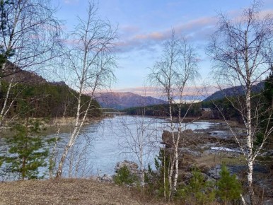 #поэтическоеутро. * * *