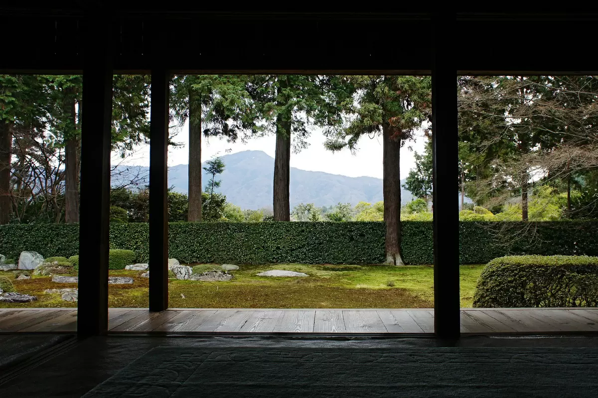 Искусство заимствованного пейзажа: как сад становится частью природной гармонии