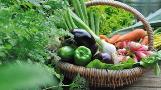 ��� ����� ��������� ����������� �����: ������� ��� ���������� ���������