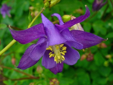 ���������: �������������� ������� ��� ������ �����