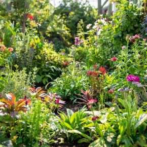 ������������ ���������: ��� ������� ������� ��, ��� ��� ����