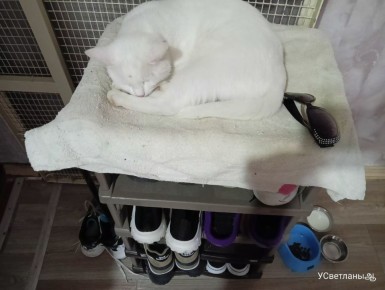 ��� ��������� ������� ����� ������� ���� ����: ������� � ������ � ����