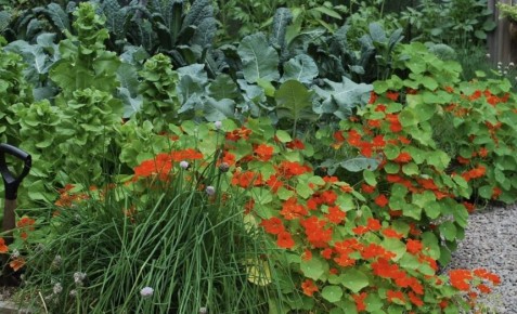 ��������� �������: ��� �������� ������ � �������� ������