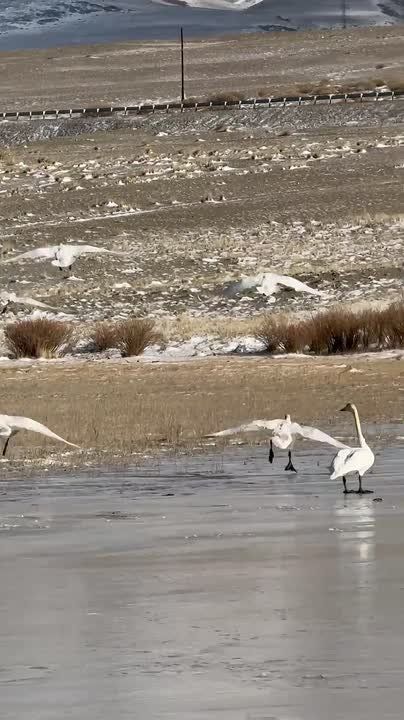 ���-�������� �����, ������� �����