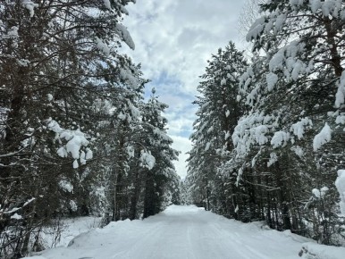 � � ����������� ������ ������� ���