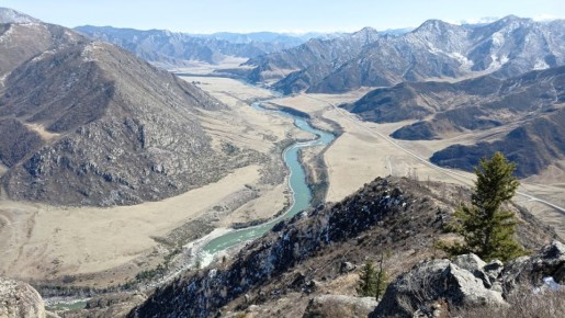 ����������� ������� ���-����