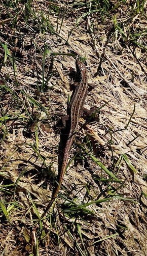 ���������� ������� ������ ���� � �������� ��������� �������� � �������������� ����������