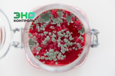 ��� ������ � ��������, �������� ��������: ������ � ������������