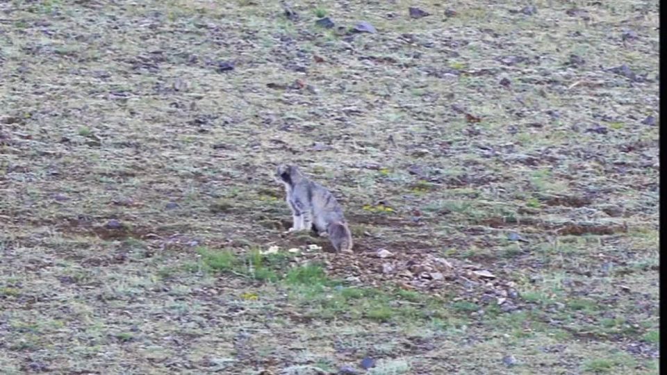 ������� - ������������� ���� ������