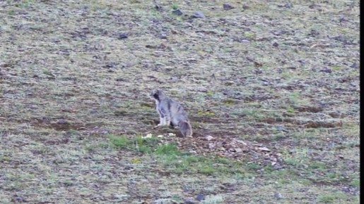 ������� - ������������� ���� ������