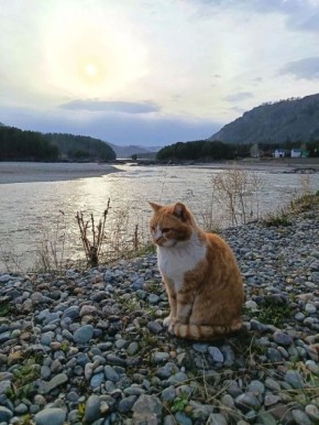 ����� ������ ����