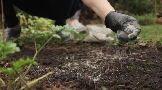 ��� ����������� ������ � ��������� ������ 2026 ����