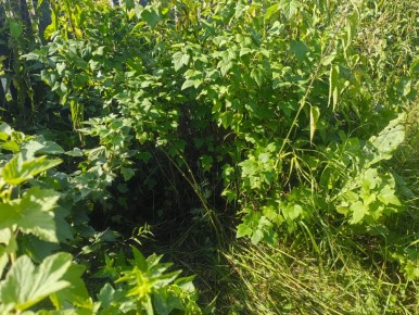 ����� ���������: ��� ������ �������� ������� ����������