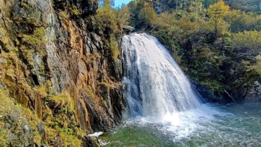 ������� �� ������� ������ �� �������� ����� �������� ������