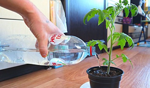 ����������� ����: ������ �������� ������� � ���� ��� ������