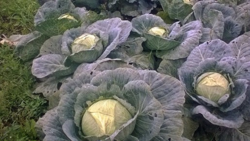 �������: ��� ��������� ������� ������ ��� ������� ������ ������