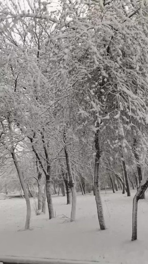 ����� ����: �������, ��� ����� � ���� ���� ������ ����� �����