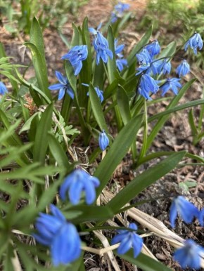 �������� �����. ����: ����� ���������