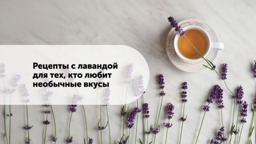 ������� � ���������: ���� ������������ �������� ��� ��������