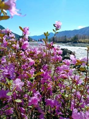 ������ ����, ���������� �����!